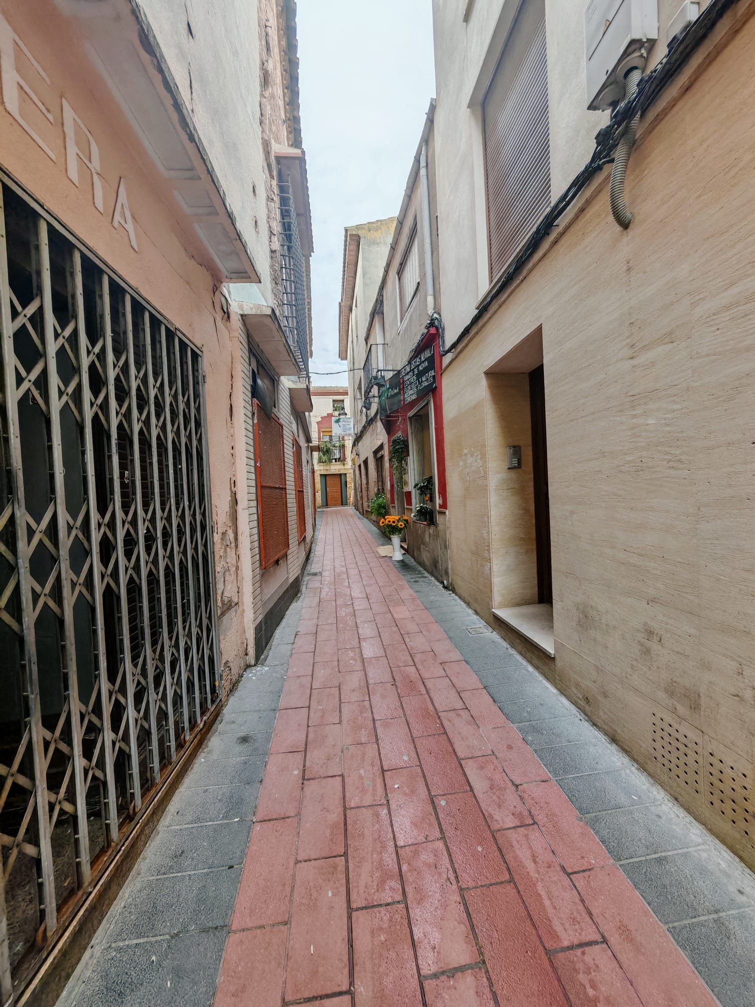 WhatsApp Image 2025-02-12 at 13.56.58