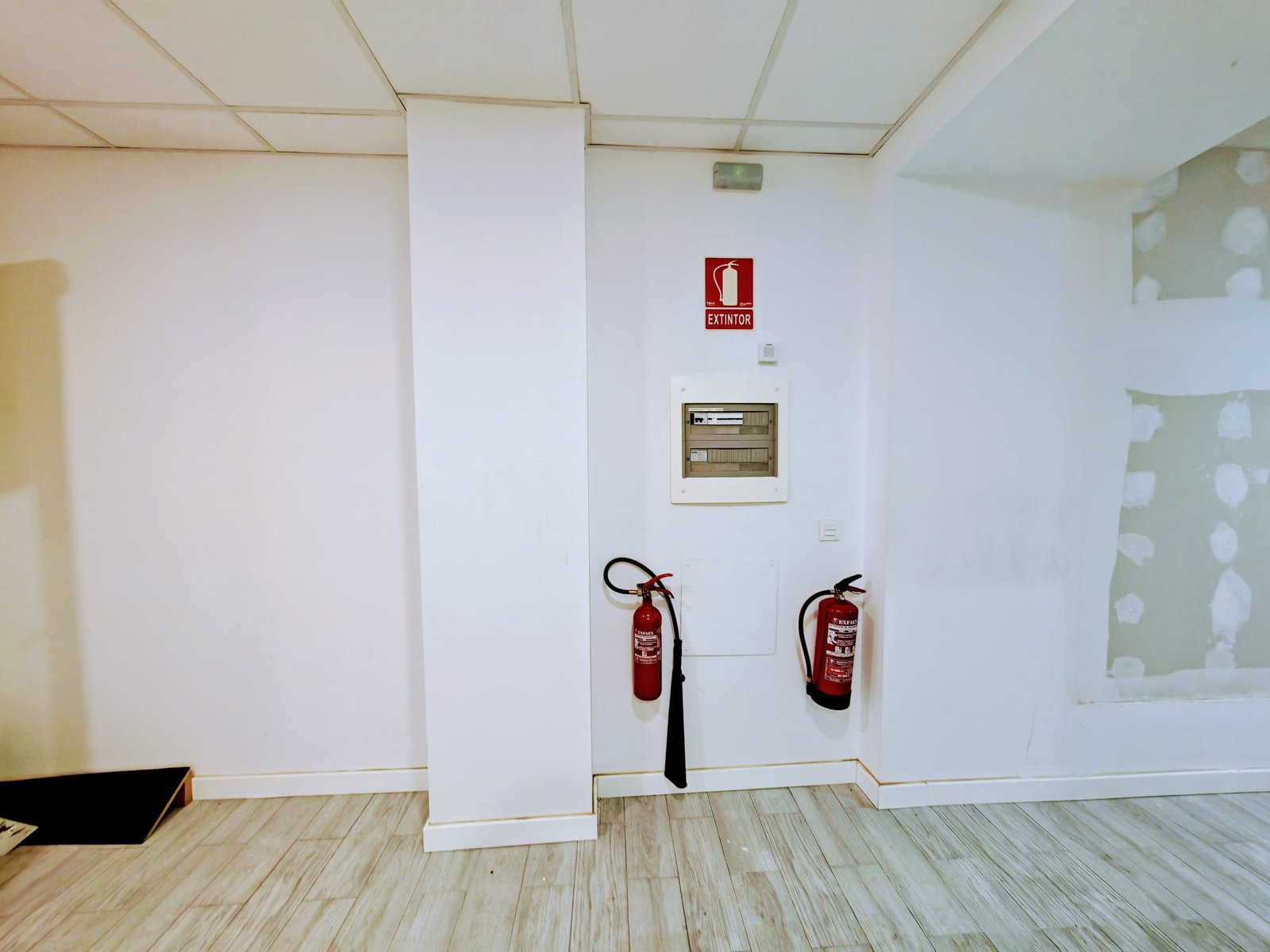 WhatsApp Image 2025-02-12 at 13.56.59