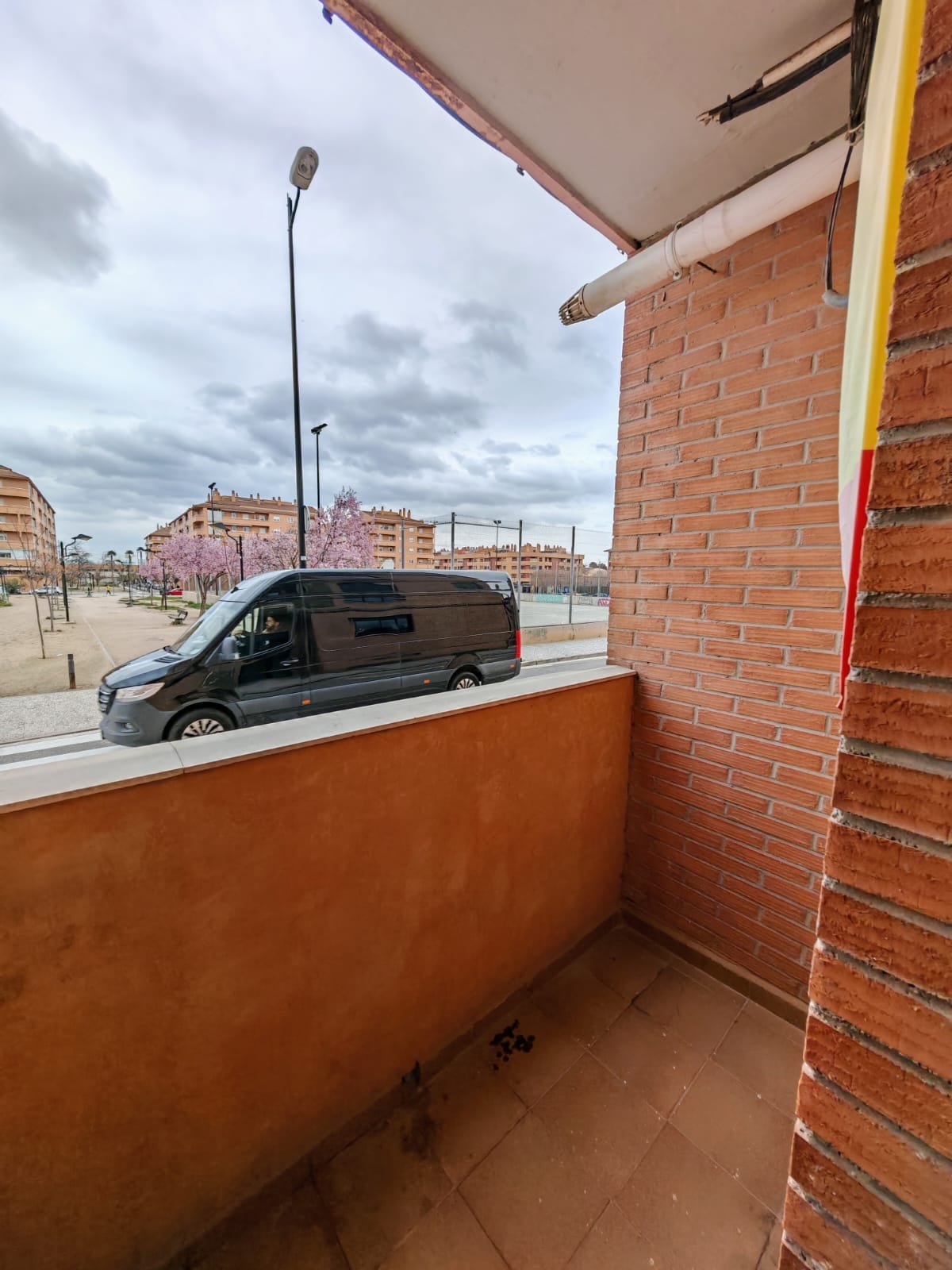 WhatsApp Image 2025-03-06 at 18.15.29 (8)