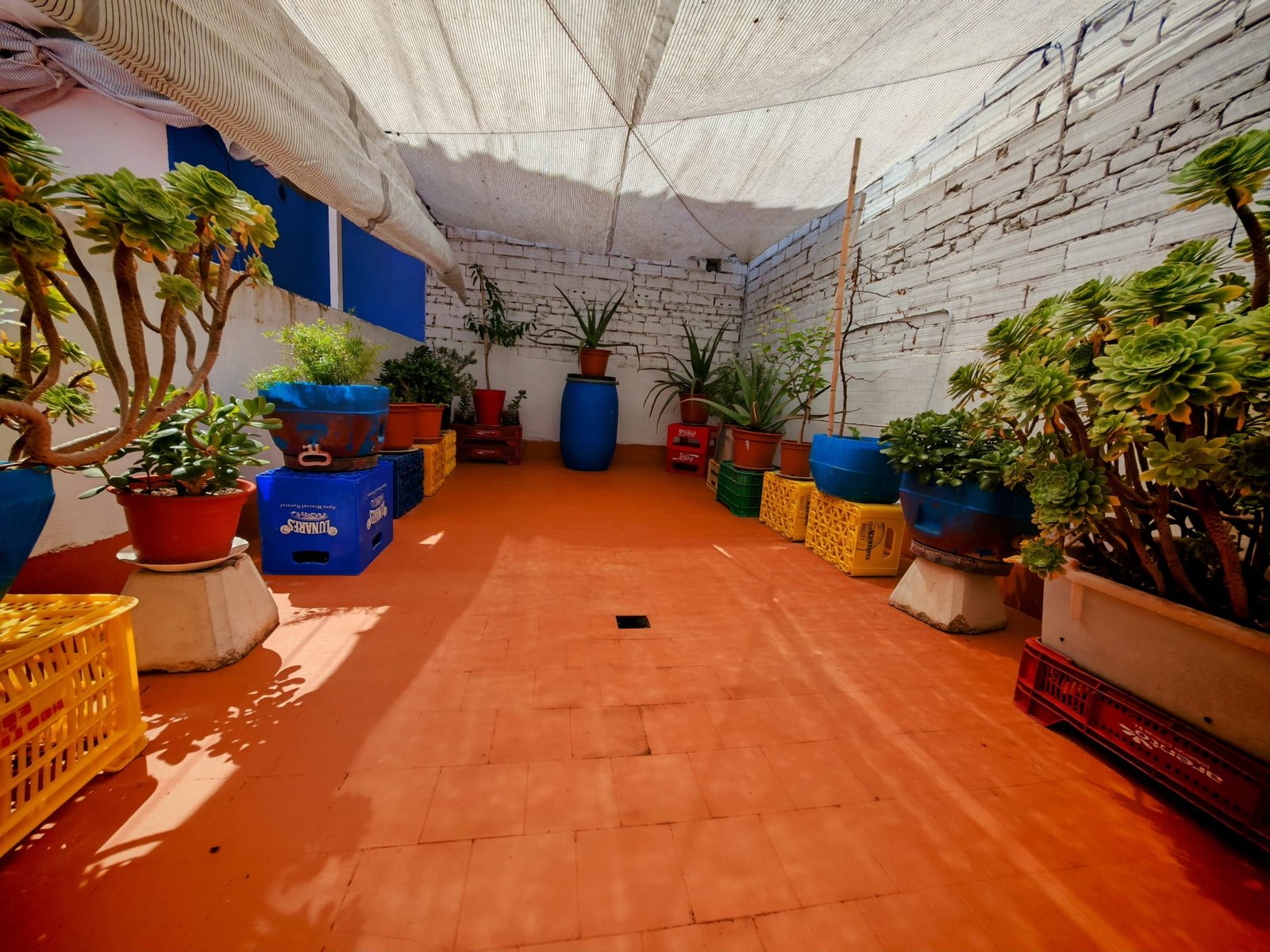 WhatsApp Image 2025-05-27 at 19.46.54 (2)