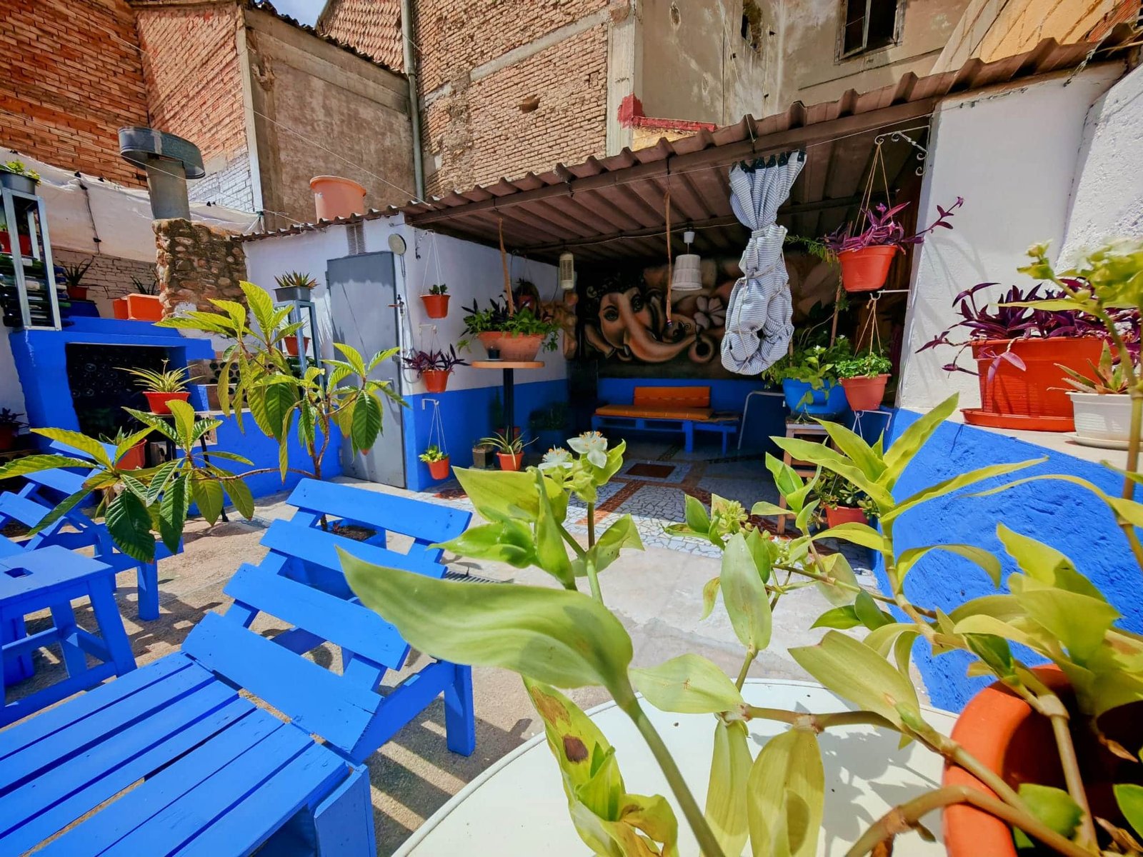 WhatsApp Image 2025-05-27 at 19.49.05 (1)