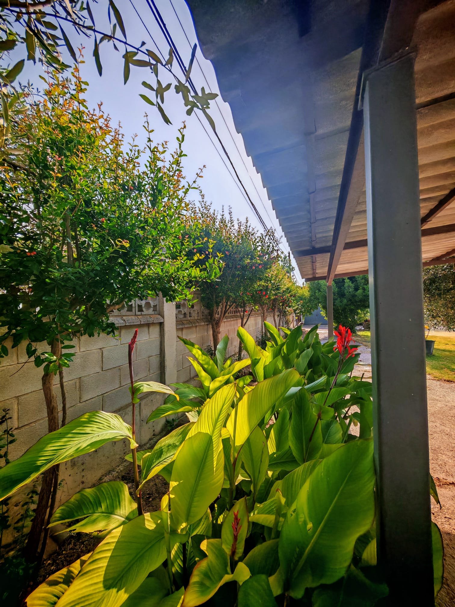 WhatsApp Image 2025-06-16 at 20.22.06