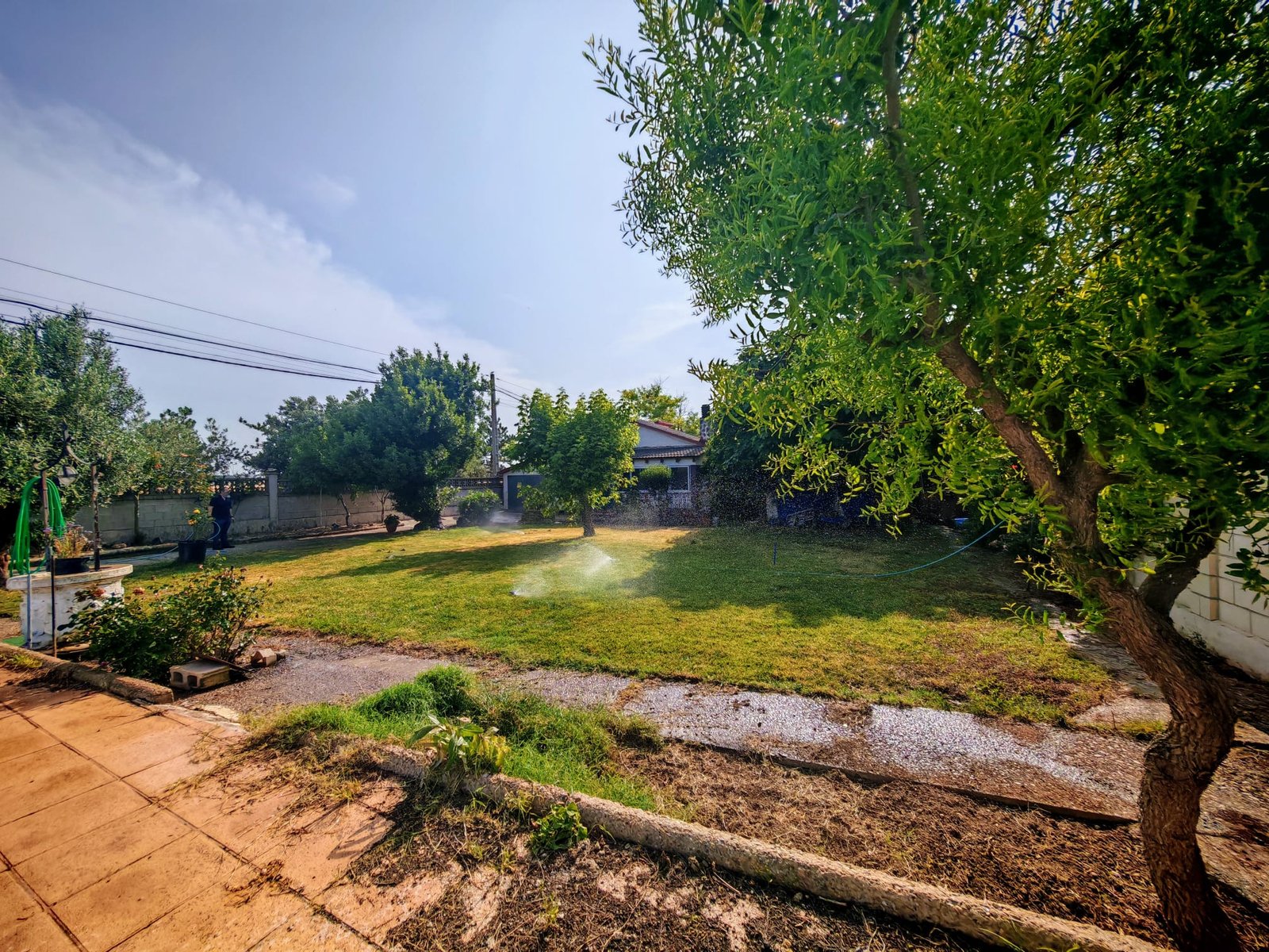 WhatsApp Image 2025-06-16 at 20.22.07 (1)