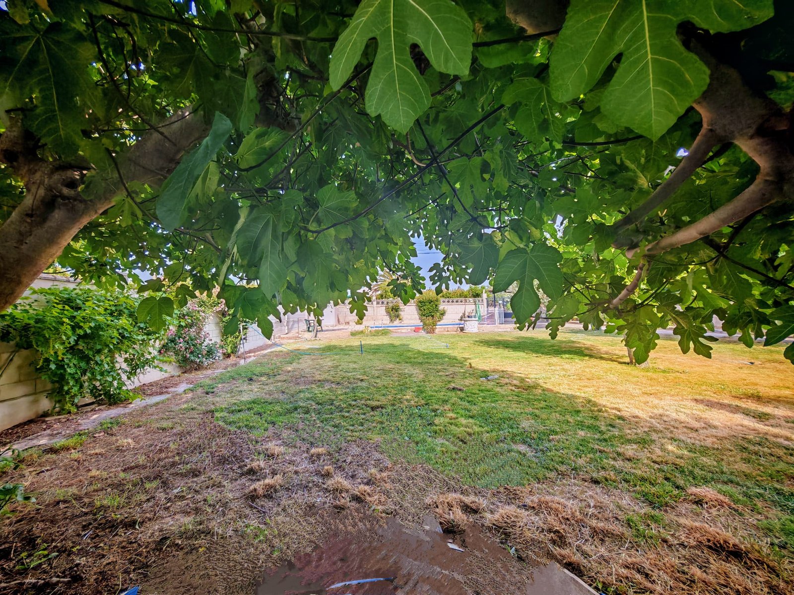 WhatsApp Image 2025-06-16 at 20.22.11