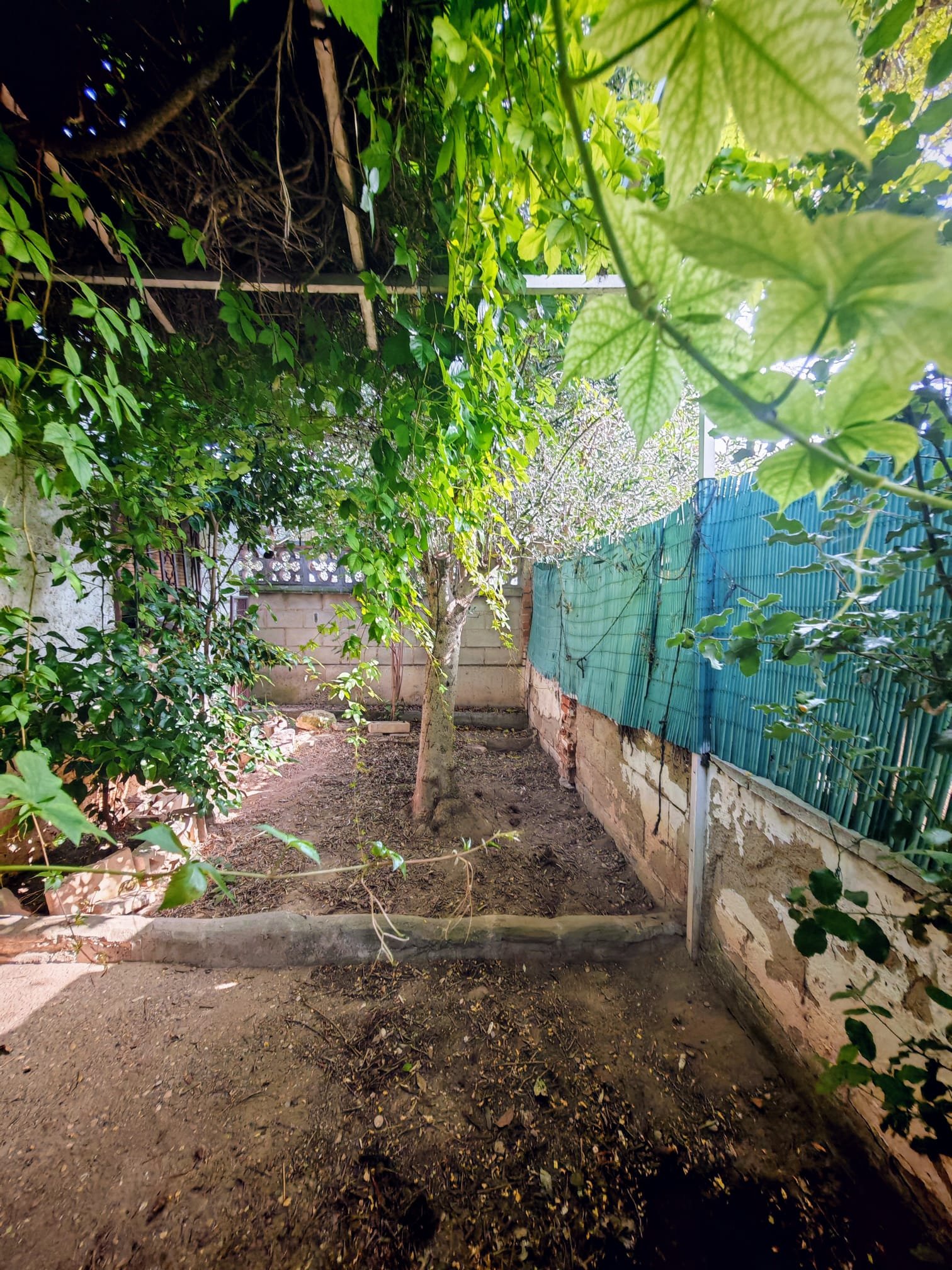 WhatsApp Image 2025-06-16 at 20.22.12 (1)