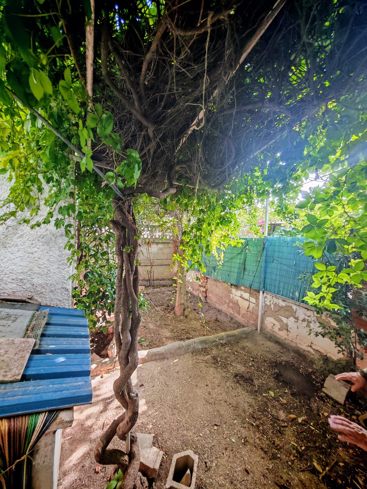 WhatsApp Image 2025-06-16 at 20.22.12 (2)