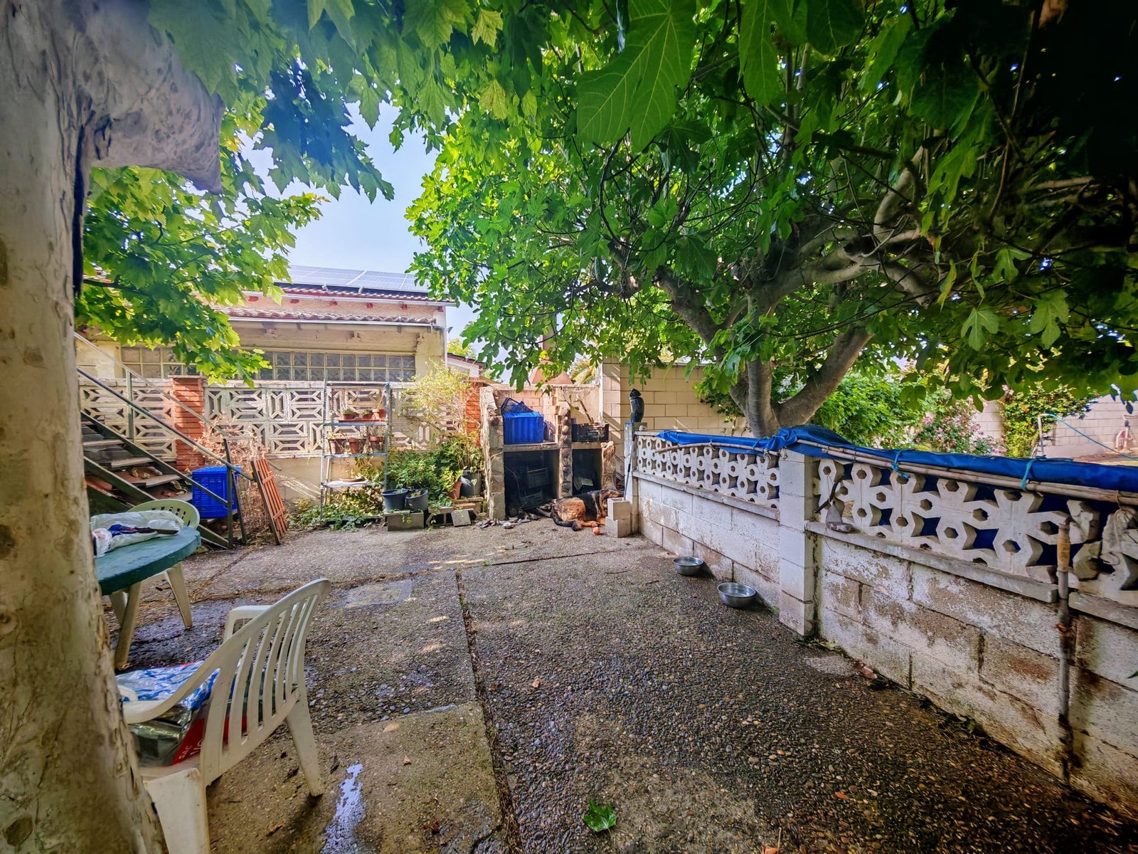 WhatsApp Image 2025-06-16 at 20.22.12