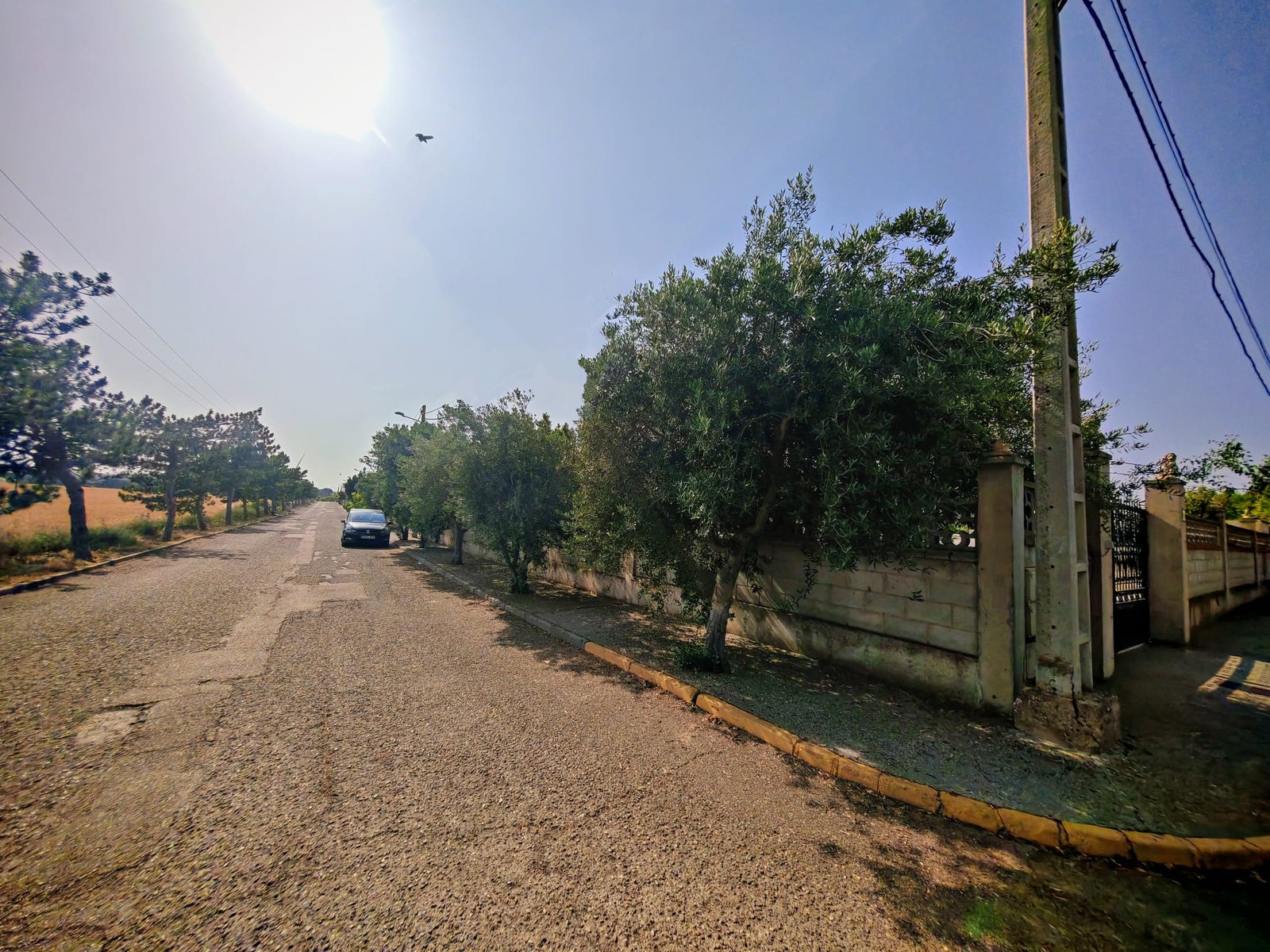 WhatsApp Image 2025-06-16 at 20.22.16 (6)