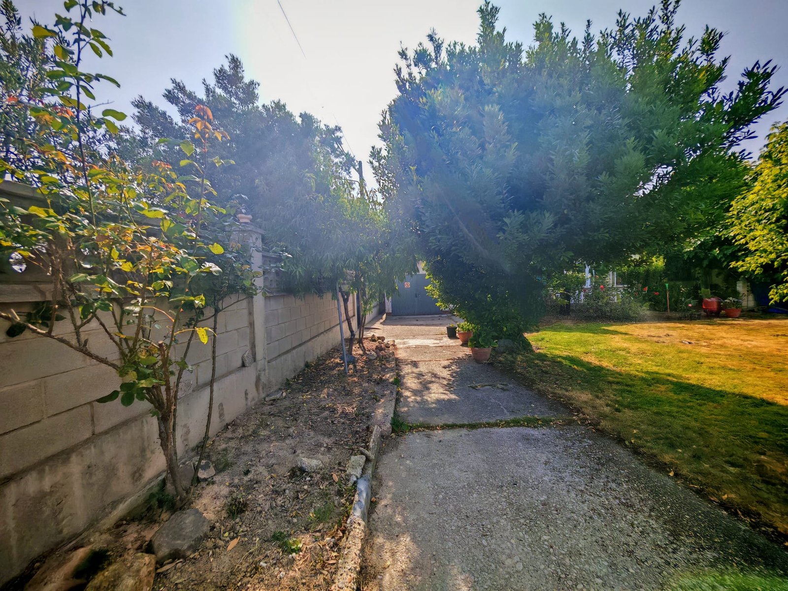 WhatsApp Image 2025-06-16 at 20.22.18 (1)