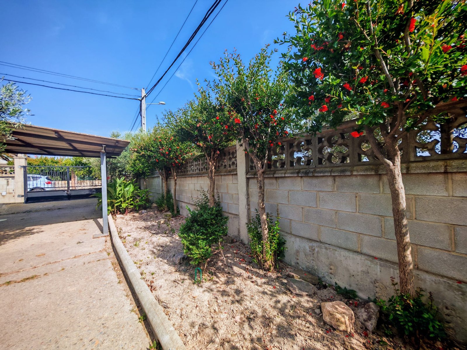 WhatsApp Image 2025-06-16 at 20.22.18 (2)