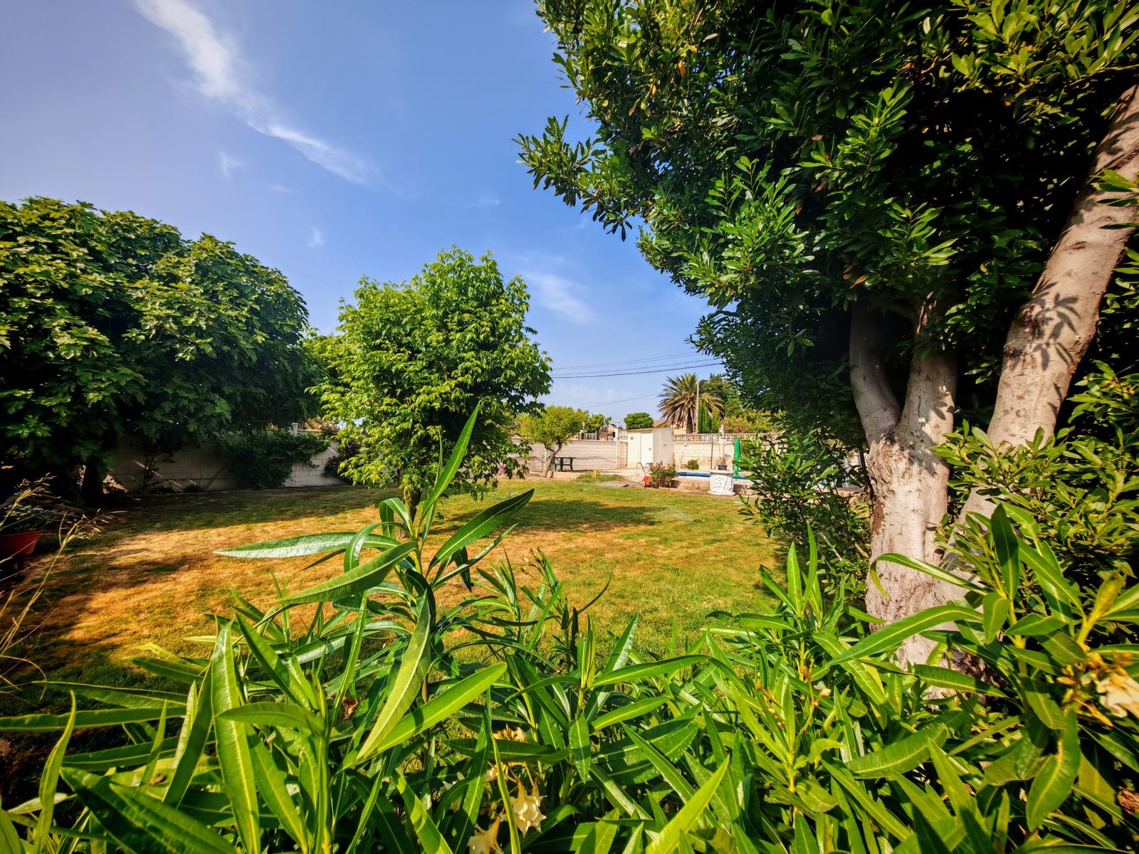 WhatsApp Image 2025-06-16 at 20.22.18 (4)