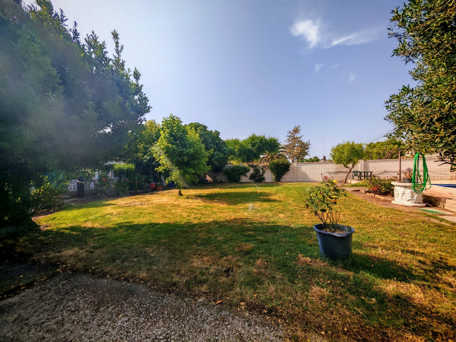 WhatsApp Image 2025-06-16 at 20.22.18