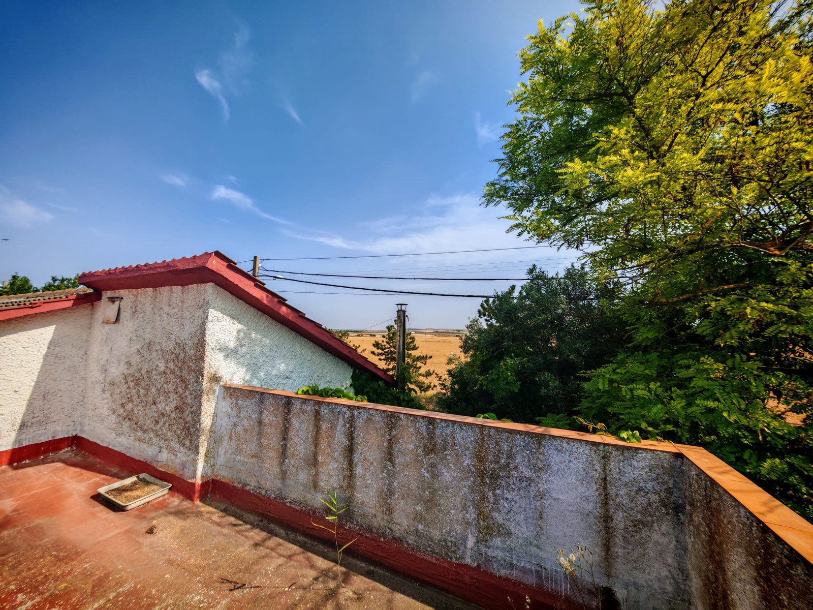 WhatsApp Image 2025-06-16 at 20.22.19 (1)