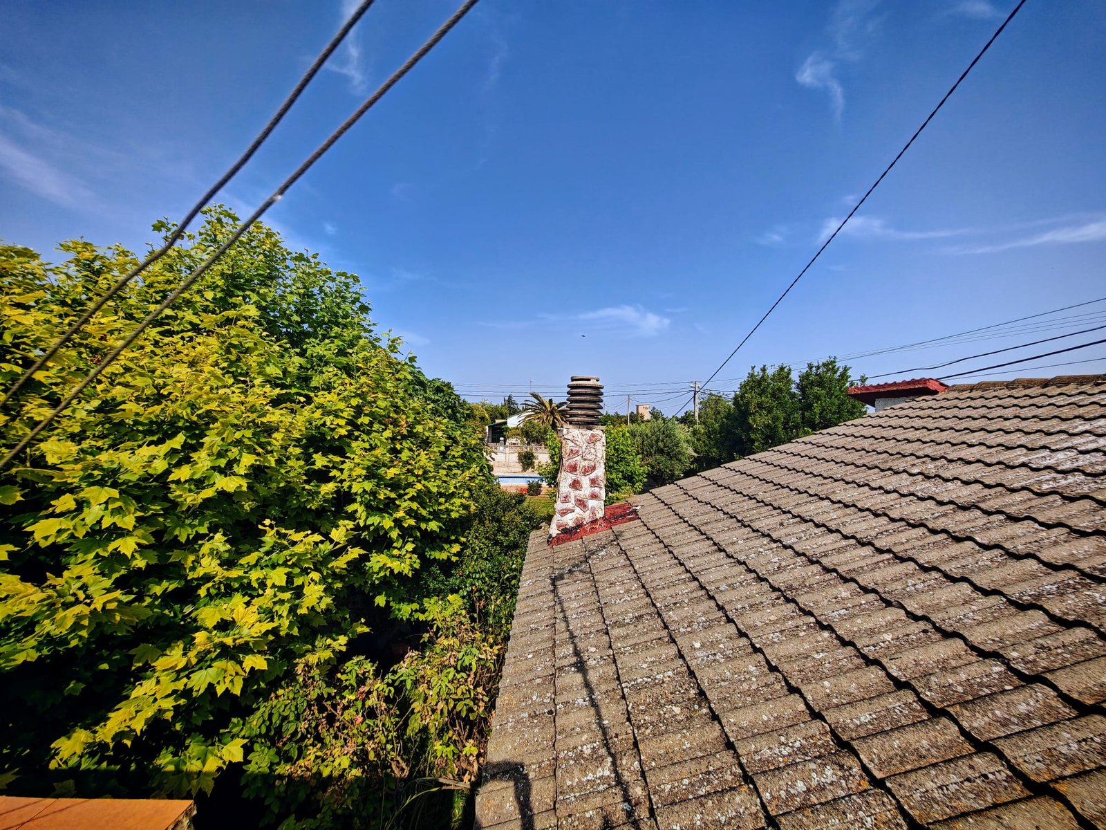 WhatsApp Image 2025-06-16 at 20.22.19 (3)