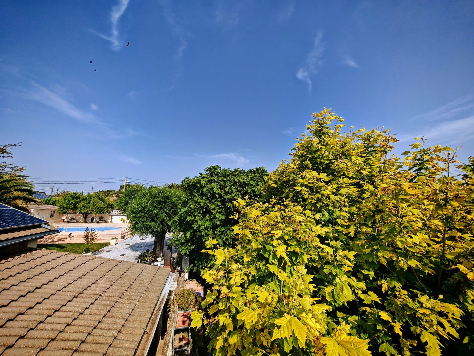 WhatsApp Image 2025-06-16 at 20.22.19 (4)