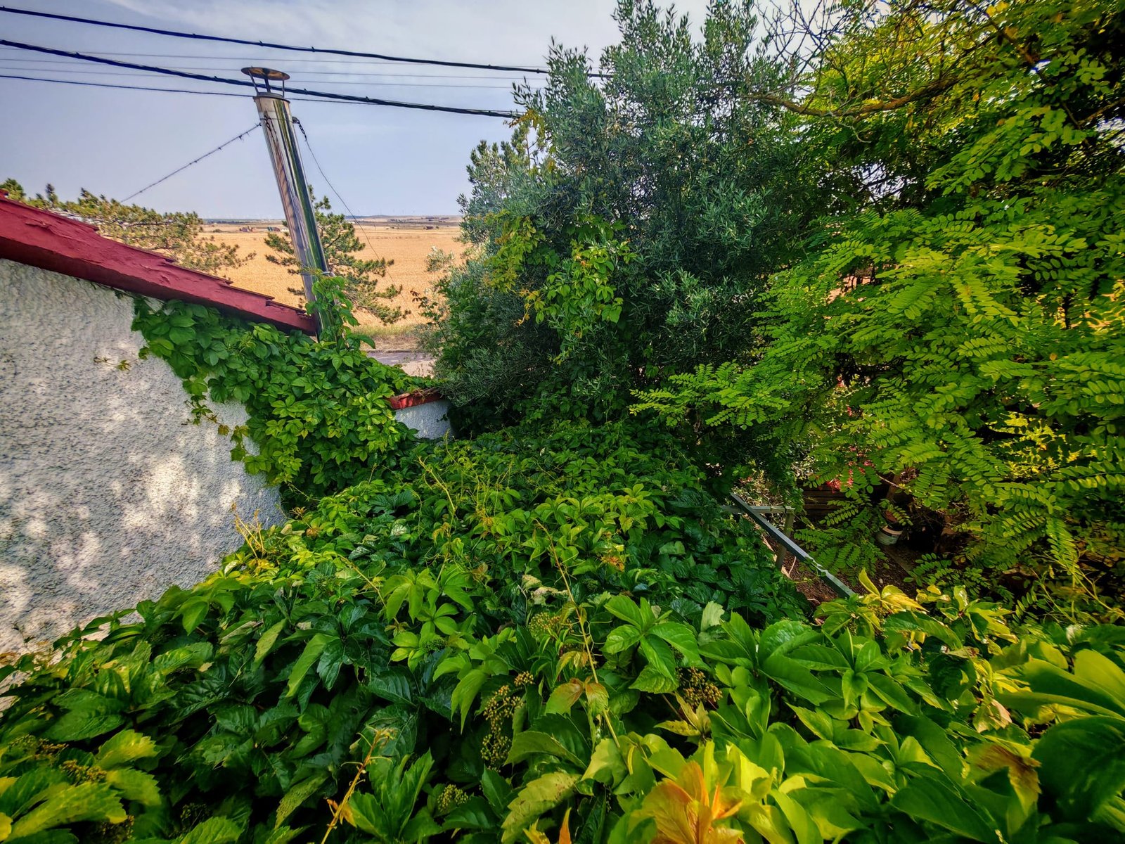 WhatsApp Image 2025-06-16 at 20.22.19