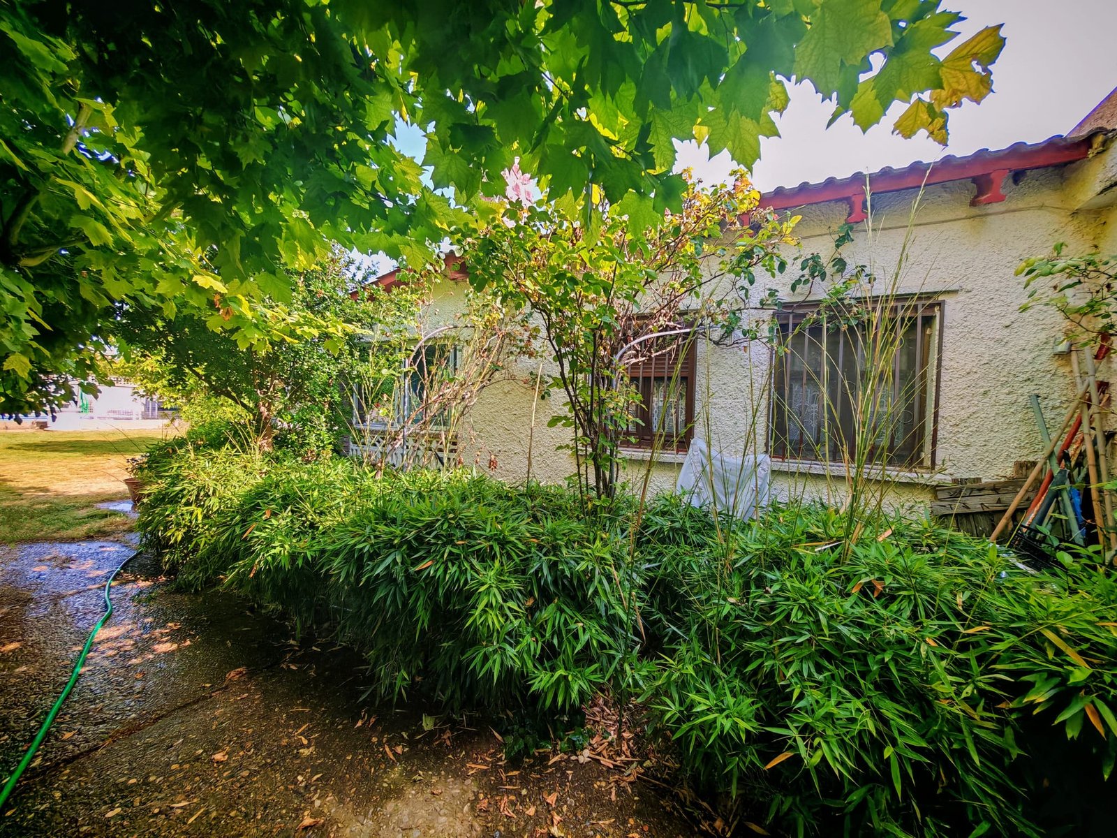 WhatsApp Image 2025-06-16 at 20.22.20 (1)