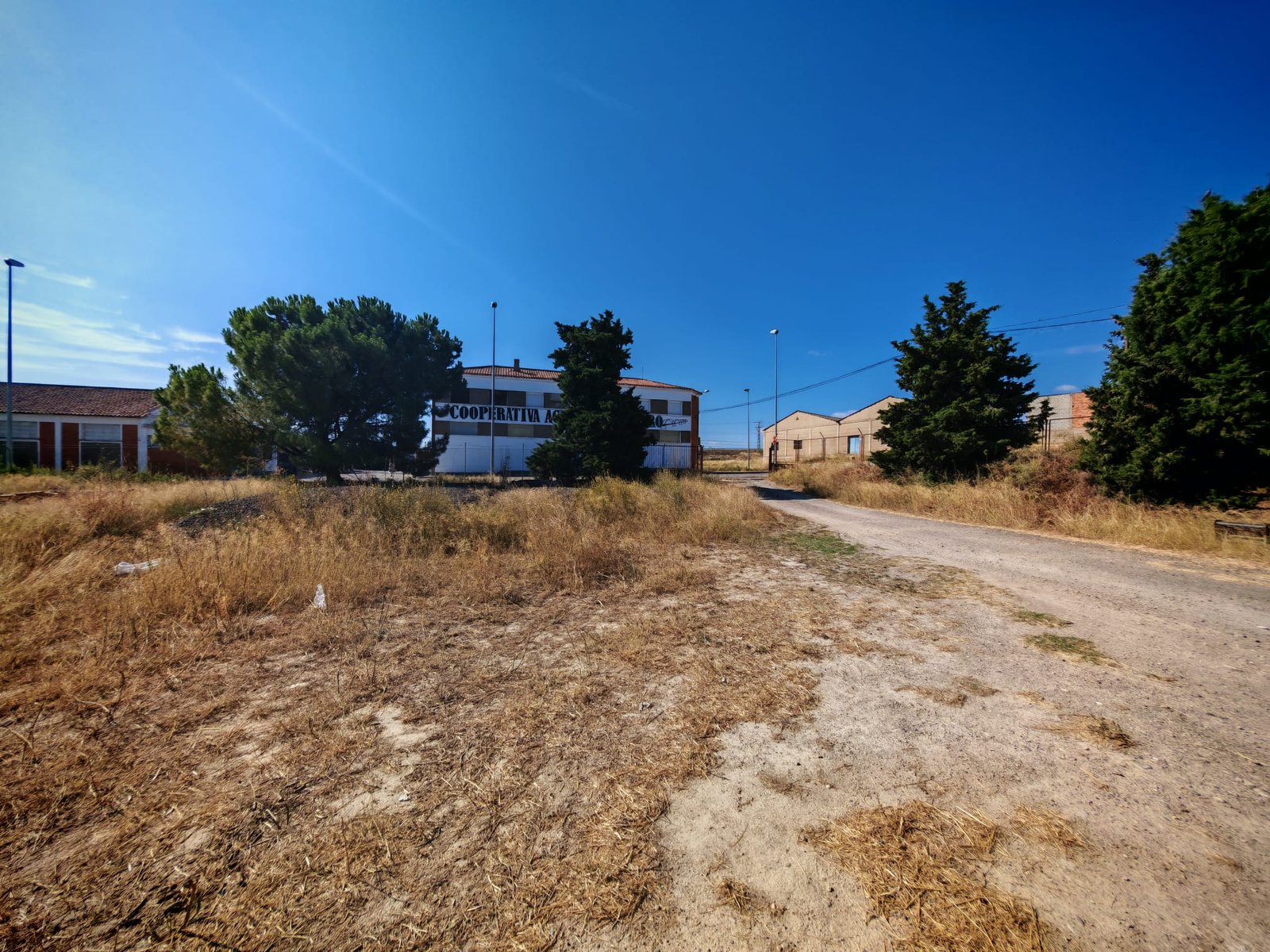 WhatsApp Image 2025-07-22 at 12.37.58 (10)