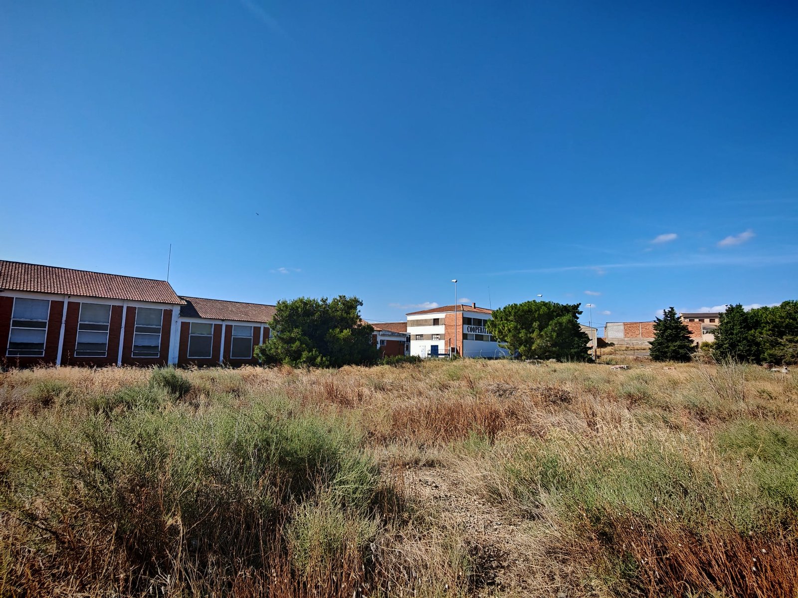 WhatsApp Image 2025-07-22 at 12.37.59 (2)