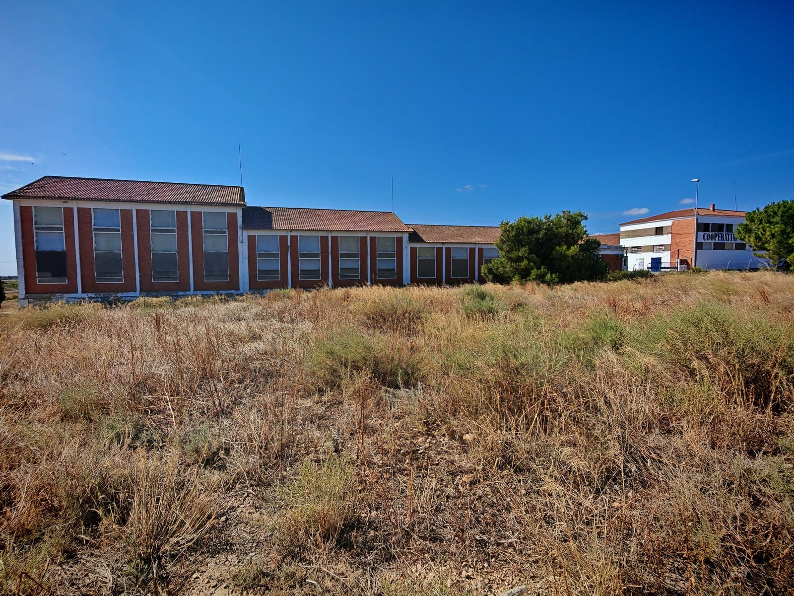 WhatsApp Image 2025-07-22 at 12.37.59 (4)