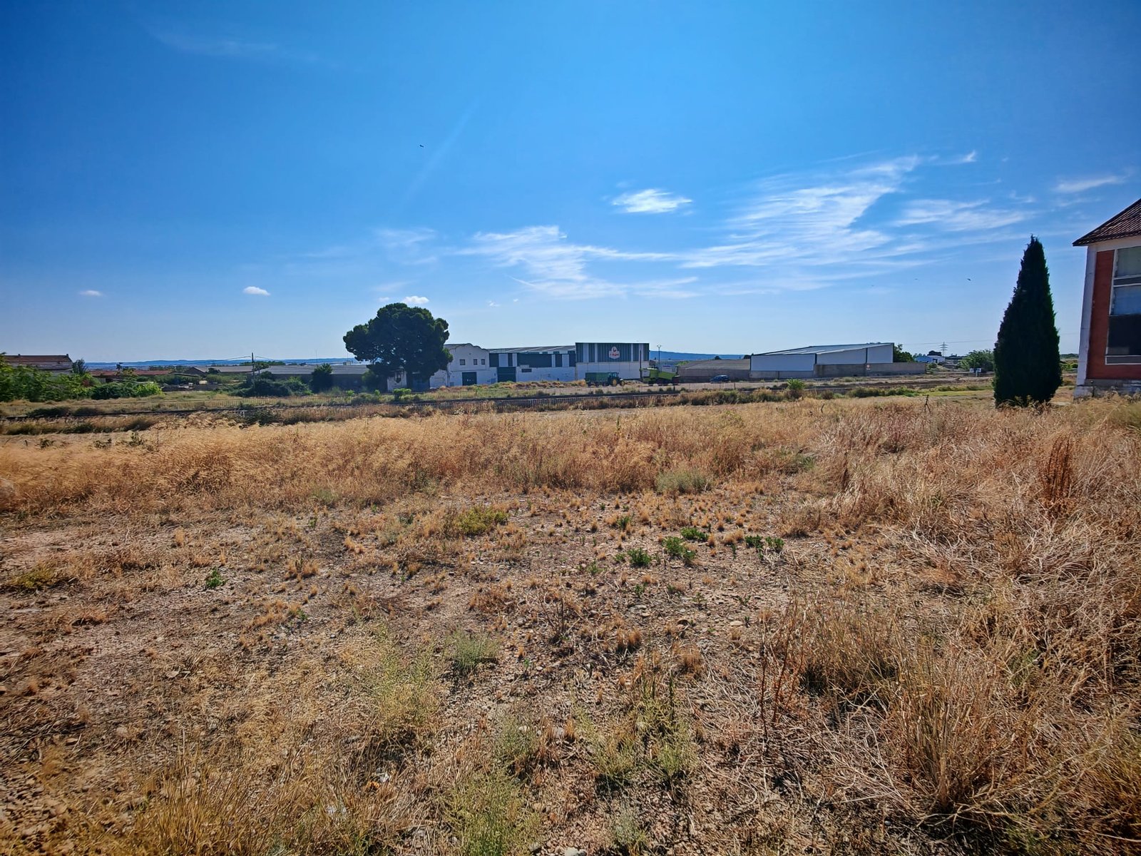 WhatsApp Image 2025-07-22 at 12.37.59 (5)