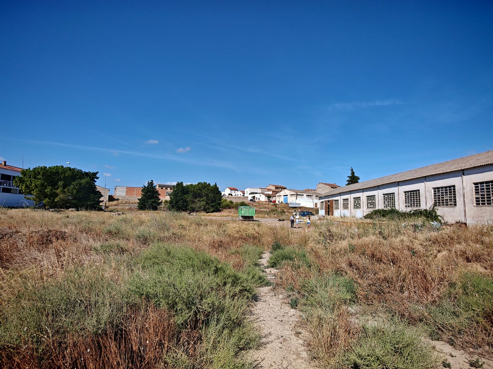 WhatsApp Image 2025-07-22 at 12.37.59