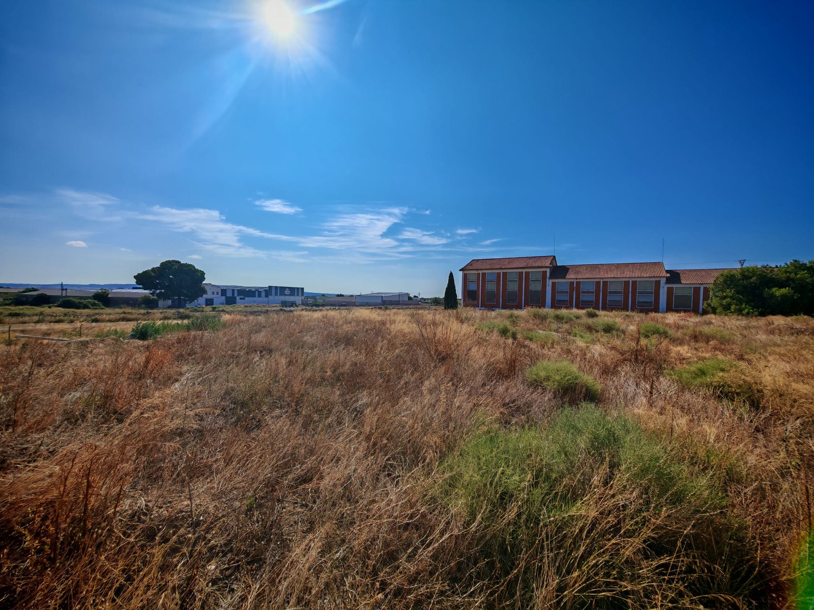 WhatsApp Image 2025-07-22 at 12.38.00 (2)