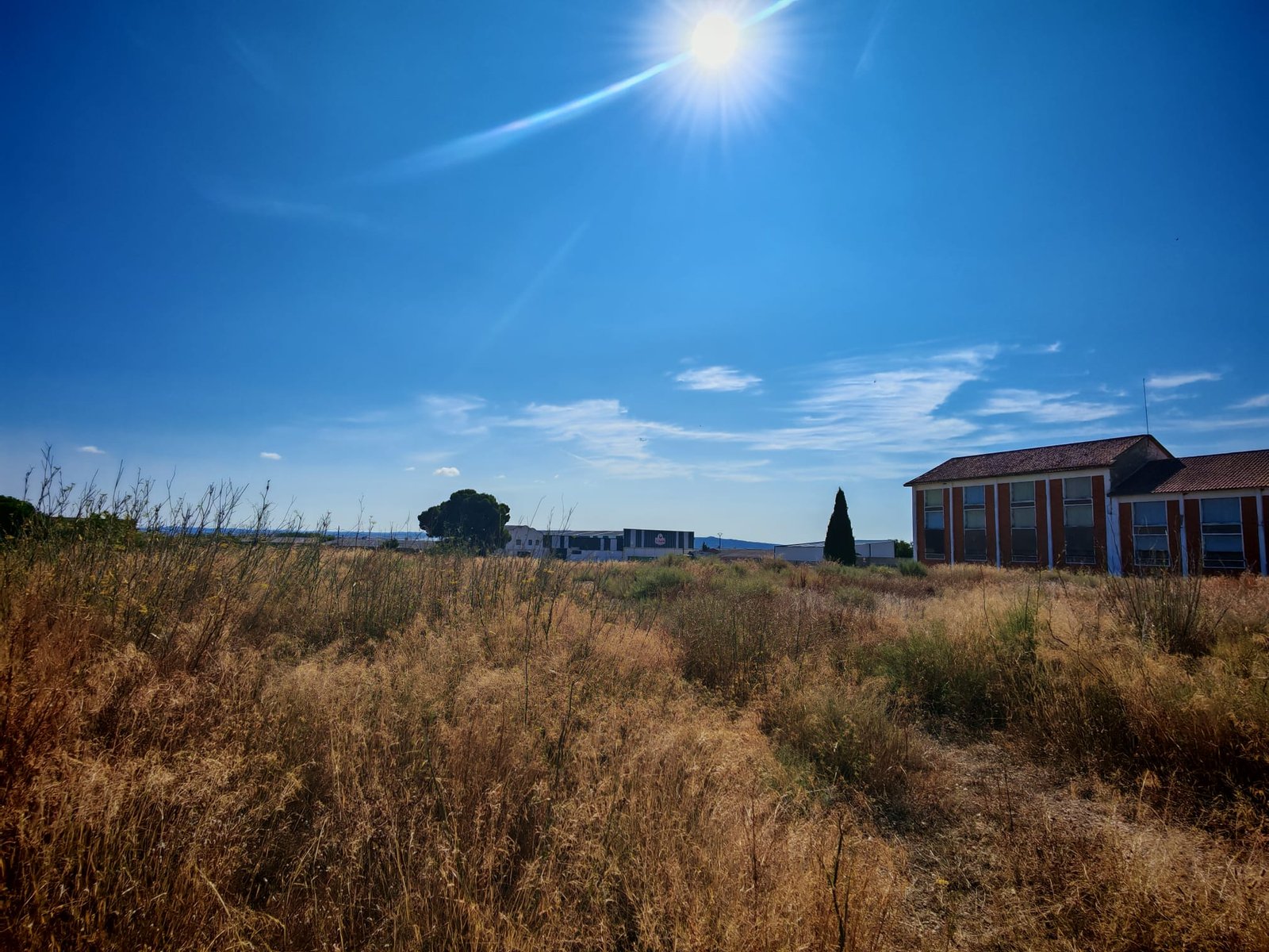 WhatsApp Image 2025-07-22 at 12.38.00 (8)