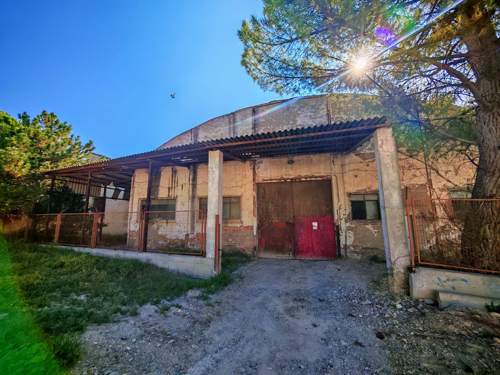 WhatsApp Image 2025-07-22 at 12.38.04 (5)