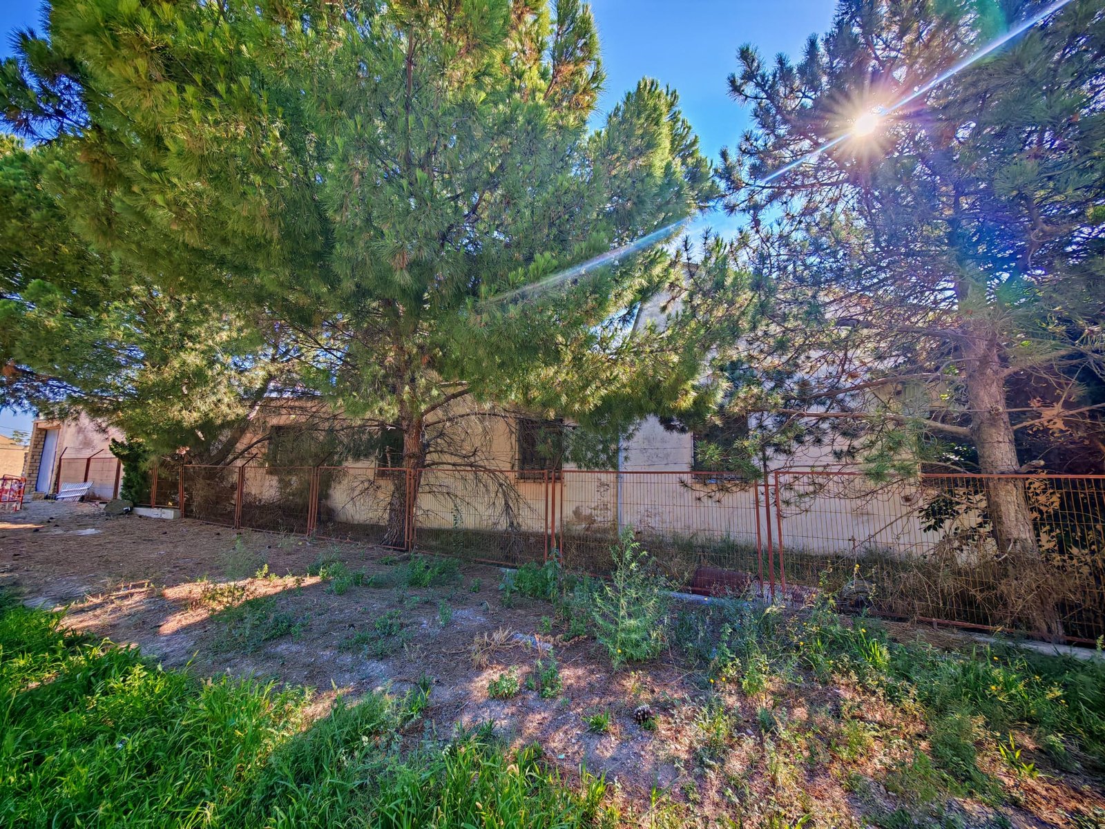 WhatsApp Image 2025-07-22 at 12.38.05 (8)