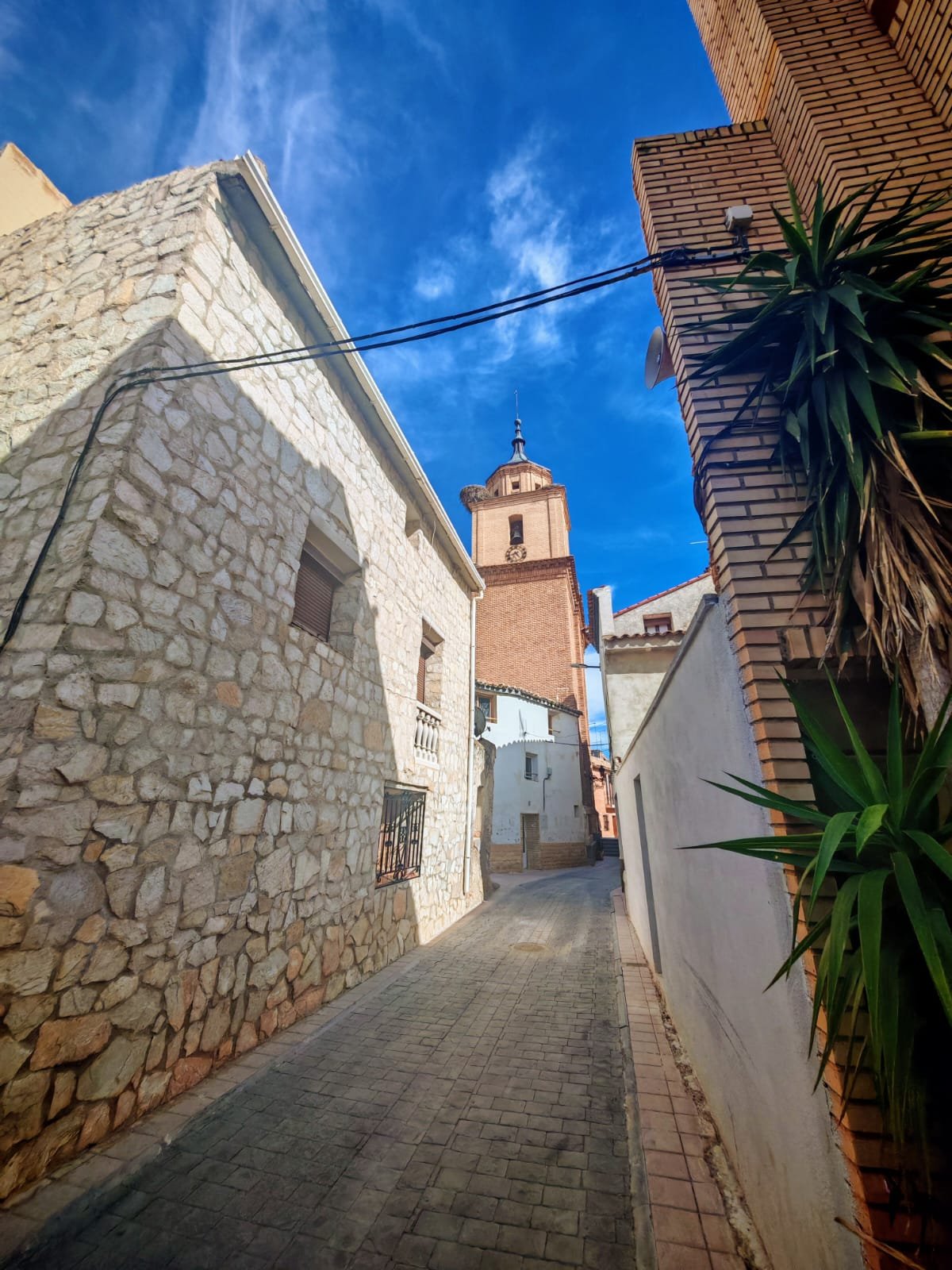 WhatsApp Image 2025-09-03 at 10.04.02 (6)